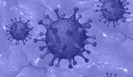 Picture of covid 19 virus enlarged