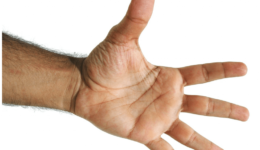 Image of five fingers for an article about Top five Things About Spend Analysis Technology.