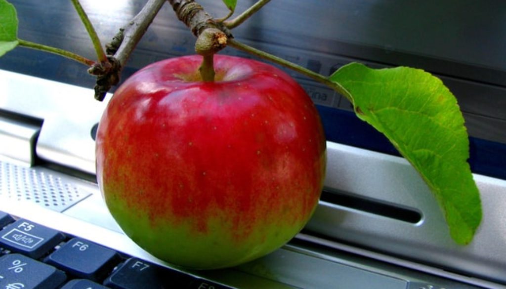 Image of an apple on a computer for an article about Top 4 Advantages of eTendering.